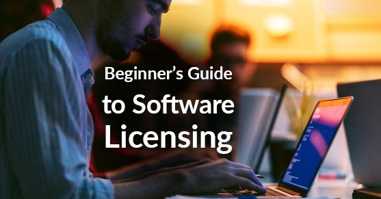 Unlocking the World of Software Licensing: Understanding Rights, Risks, and Rewards